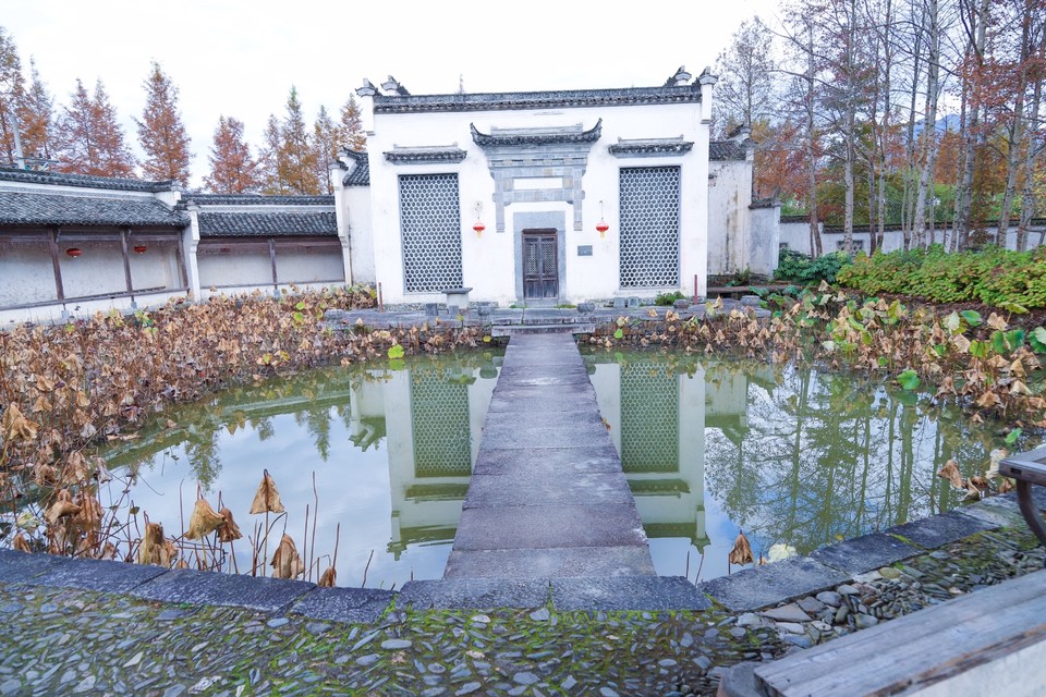 6E5D65D0-D146-4ACA-9B01-AC900C58A56C