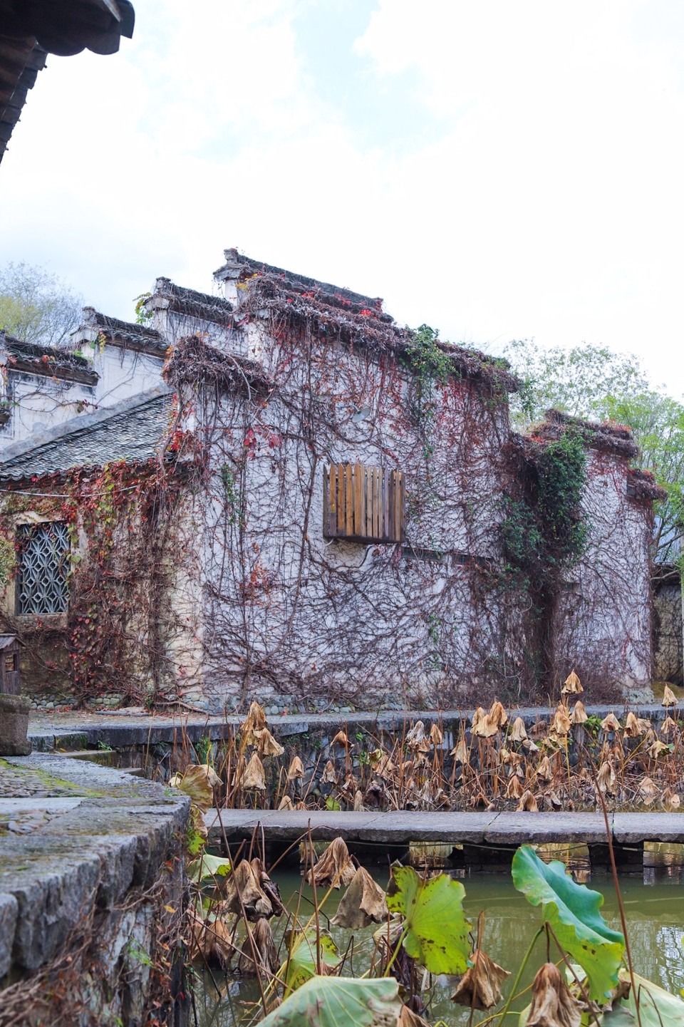 2F146321-4227-434F-9843-0A8E40EB06D3