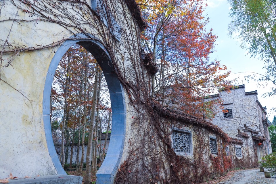 756DCDD4-1C97-4FC6-9FDC-012F49C6AC16