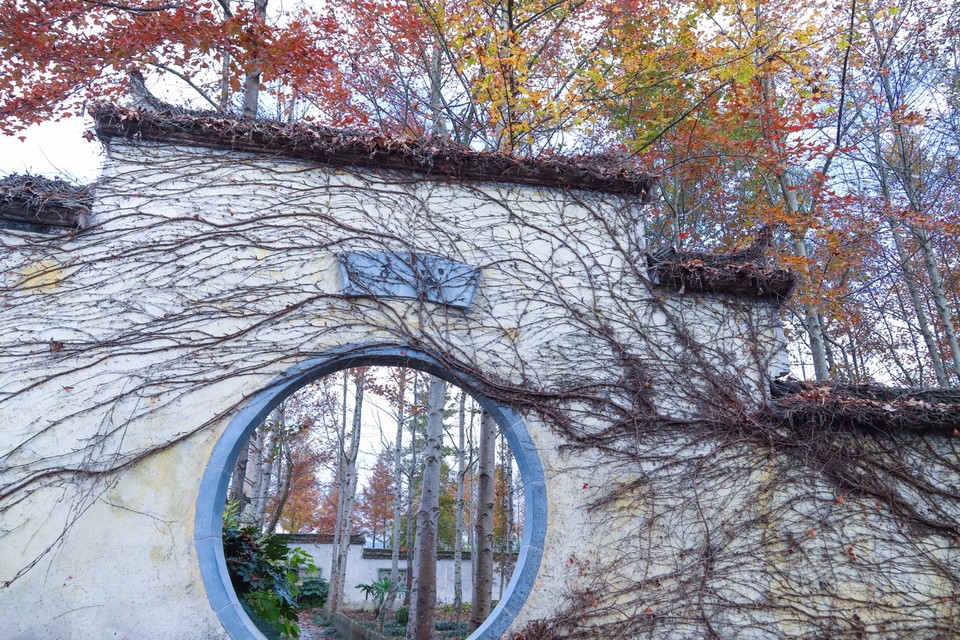 5C6D9ED7-4D2C-4A8A-90B4-2D63A5672FC7