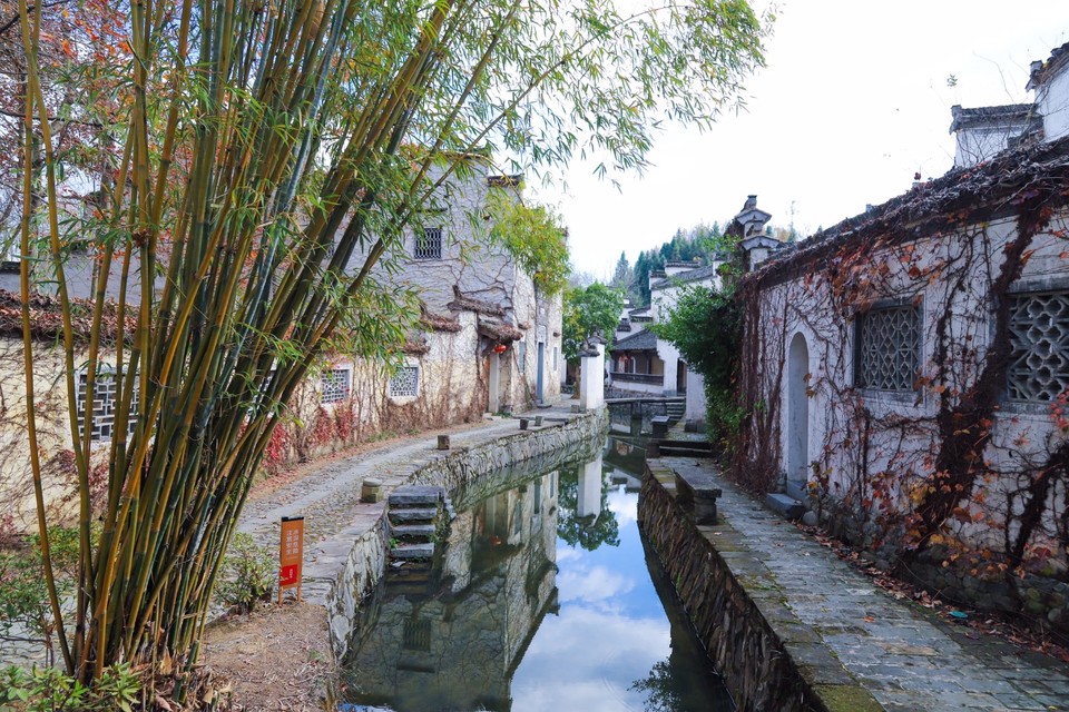 082C02C3-0CEE-4F13-BBA3-999CD71FE54B