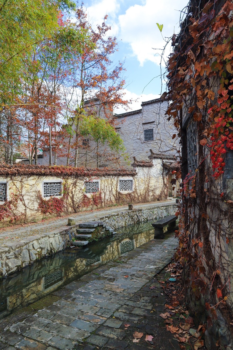 68FE1E81-AA62-4A6A-B203-9ABC9D577B31