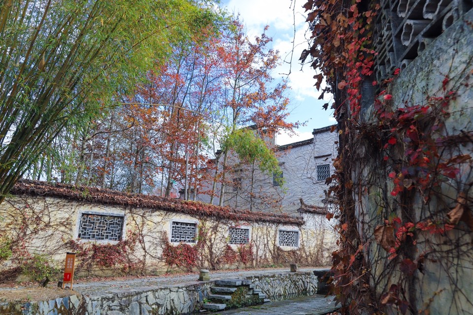 207FE76C-CBF1-4DD2-B4B3-9EF45524663B