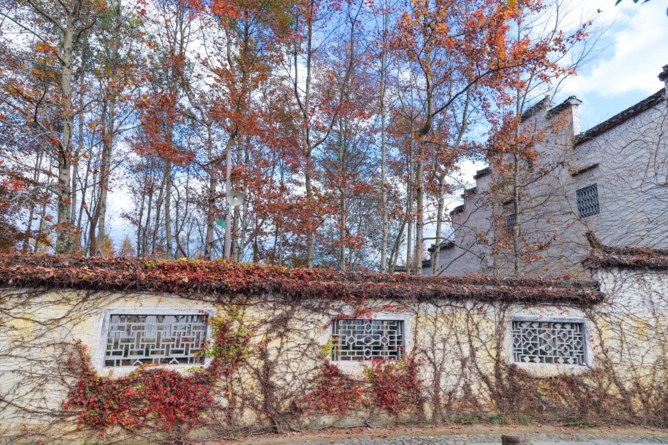 2964992D-5A85-40C1-8787-3ABD03C014BC