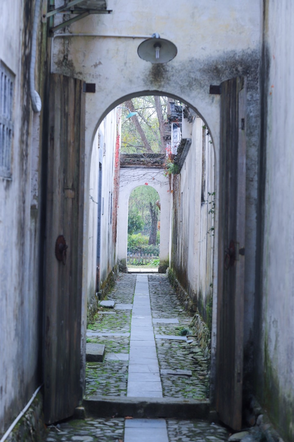 0EA9967B-DCEB-4653-BC9E-AD307FF85C55