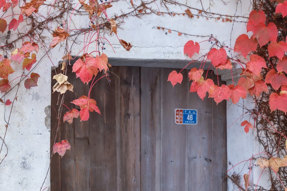 68C88993-E794-430D-8E2C-797D25B2EED8