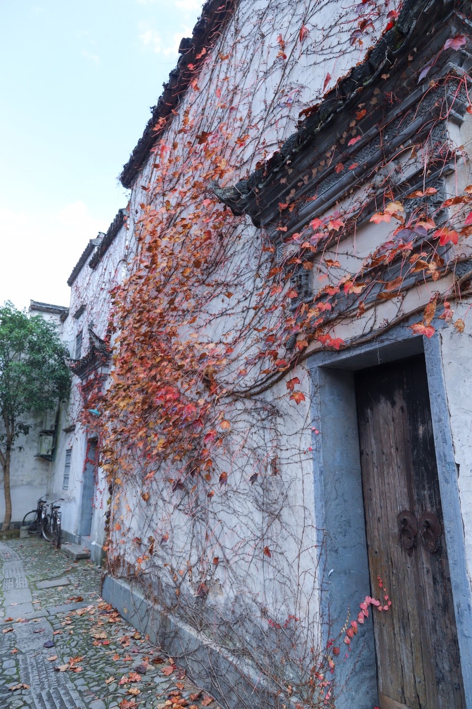 587D1884-A754-438F-A0A3-A43C05BABE9C