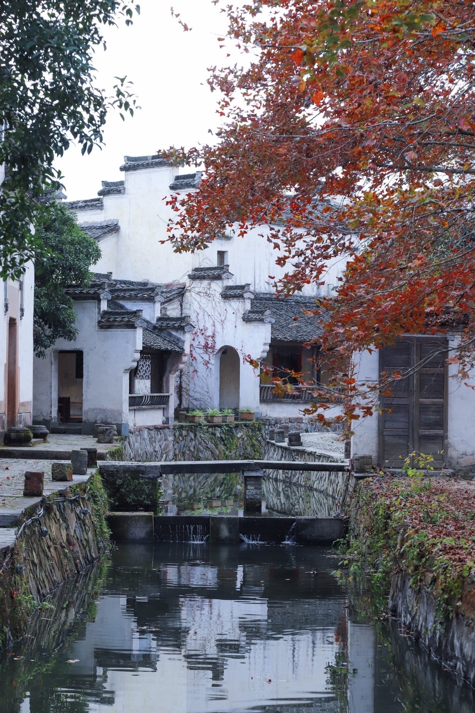 0FA85DC8-6478-4036-BB7B-E8958C5AD96F