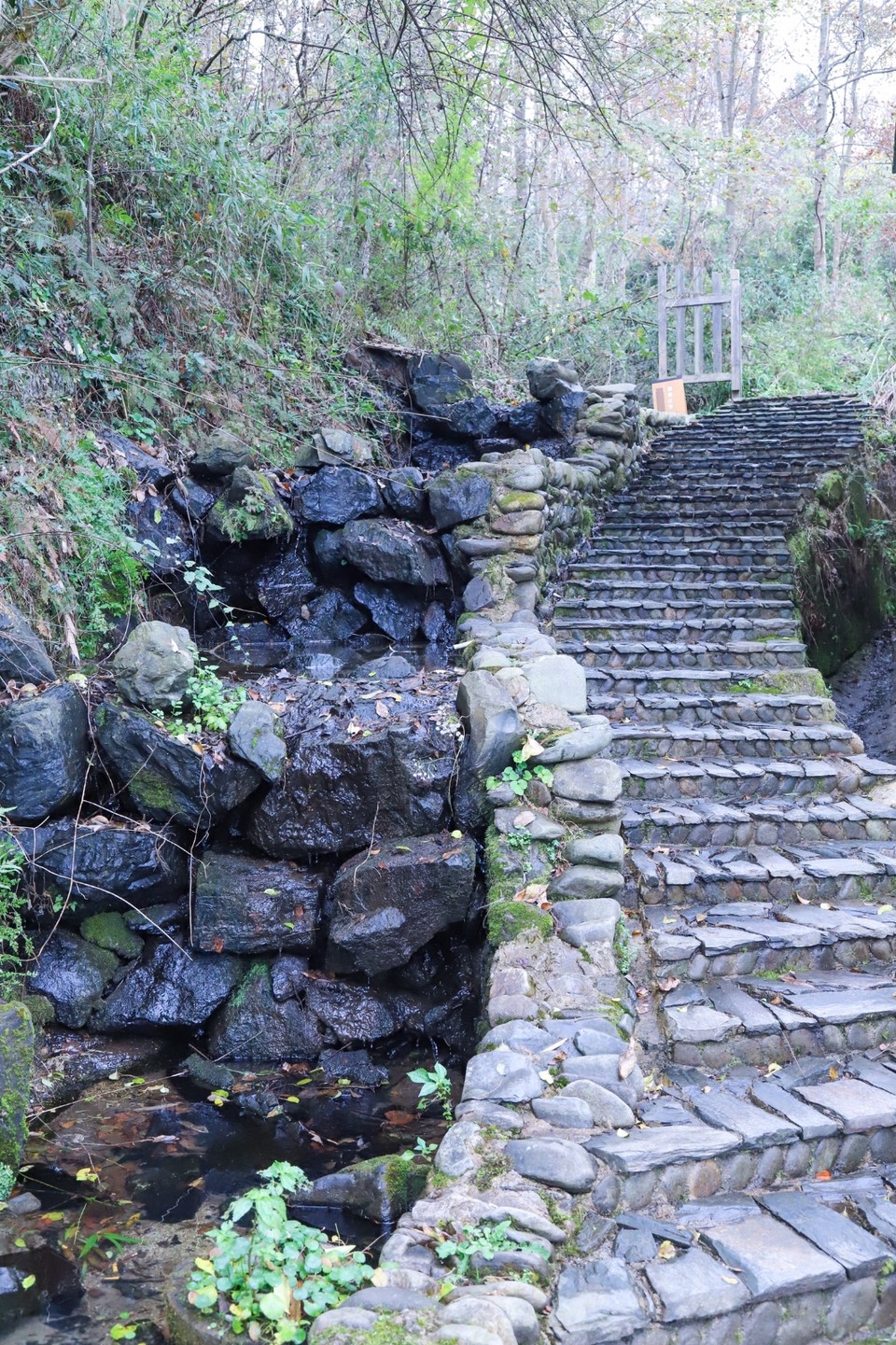 F91F46FB-FA6A-44C6-AF7F-E12D9240E565