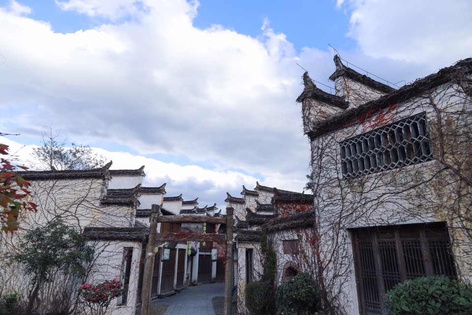 DAE5BD6F-0E68-415E-939F-4829E3BED9F5