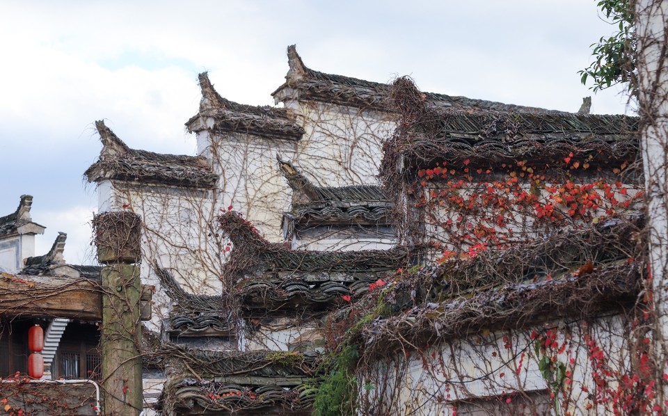 D5D678C1-2238-4635-9938-8FDE85F5183E