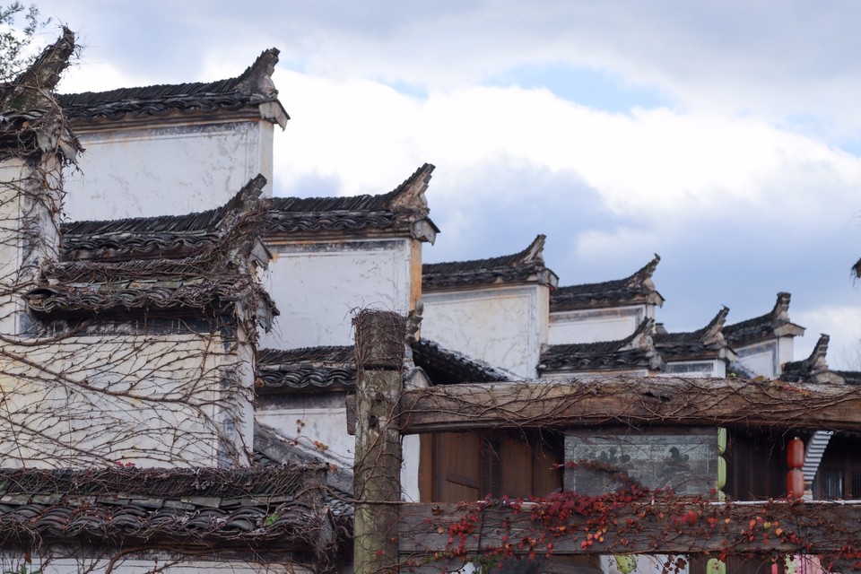 89B9A443-A7B1-4647-BEC2-3056964ADB1D