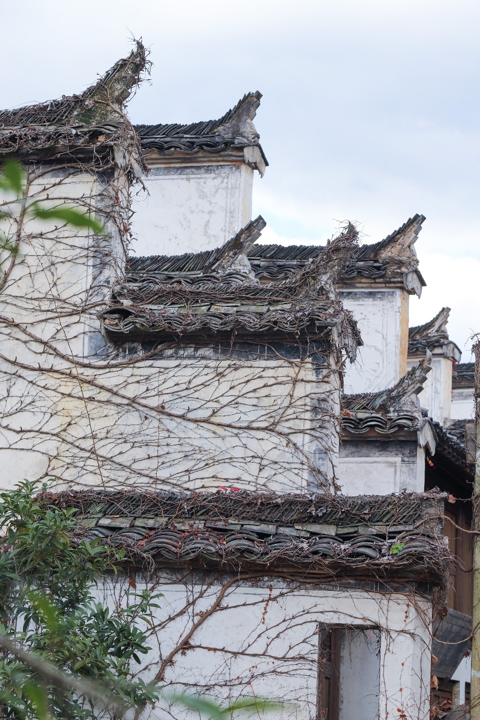 F55F45CE-7B85-44D5-83E8-351EEB446B71