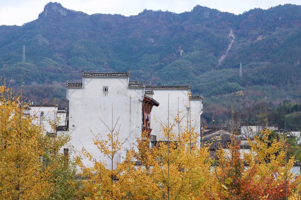 2FC2DF07-30A0-439E-8374-1C492D1A4F95