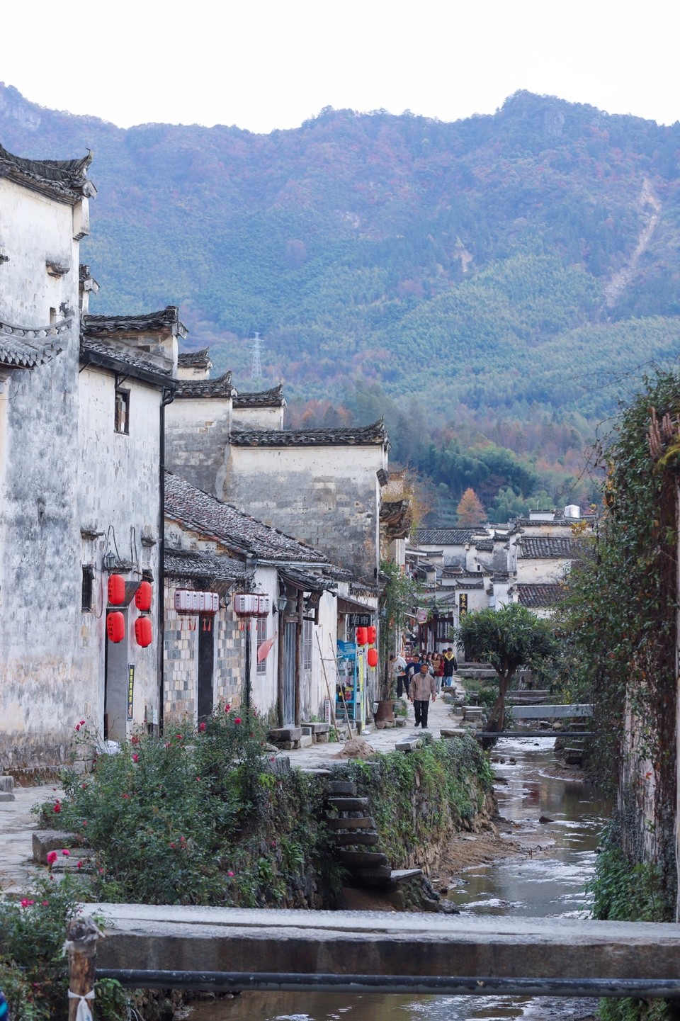 4F5B8492-084F-4C67-A29B-ED9795E987B0