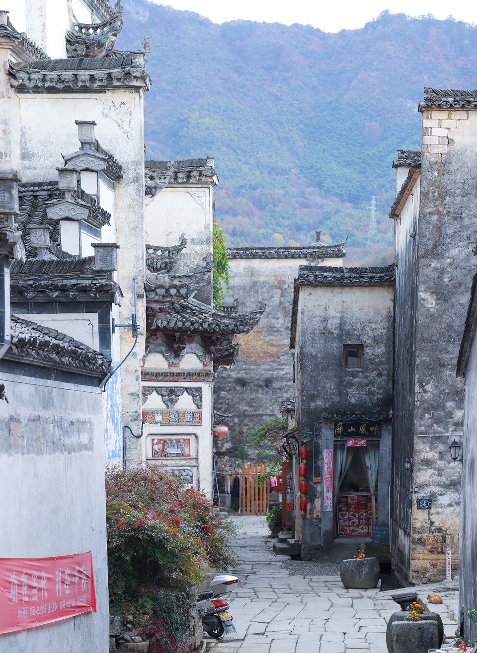 DF99A6FD-1AA1-4F80-9889-A8B604660F5F