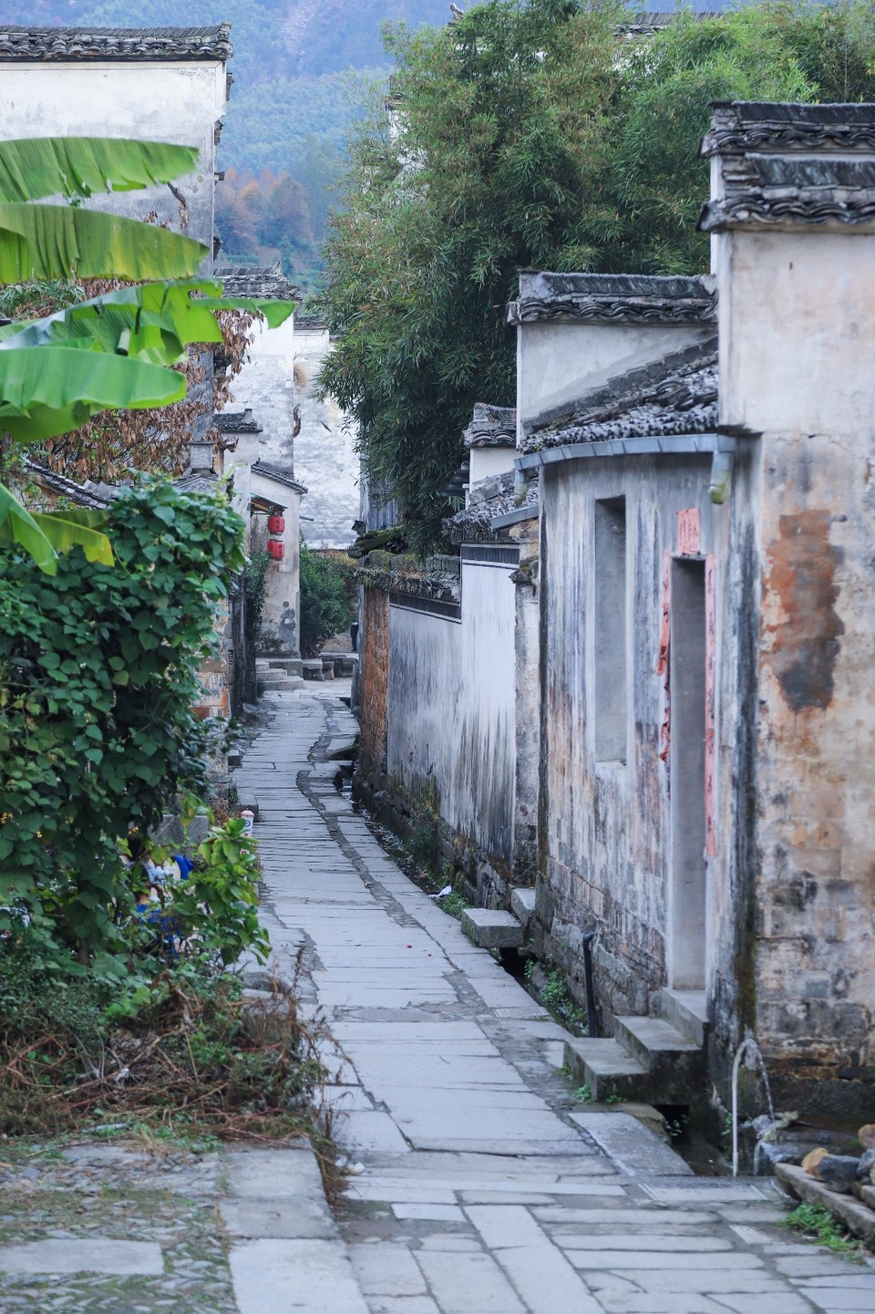 906E5AD3-BA38-4AC5-A89C-A6CA3029CC8D