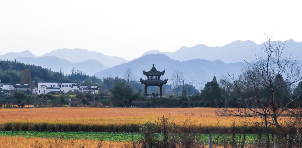 06A488A0-3C20-4046-BFE6-49281316873B