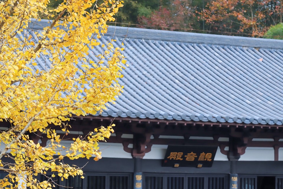 1FB289DE-0B09-405B-A727-8F8D41B2CB1E