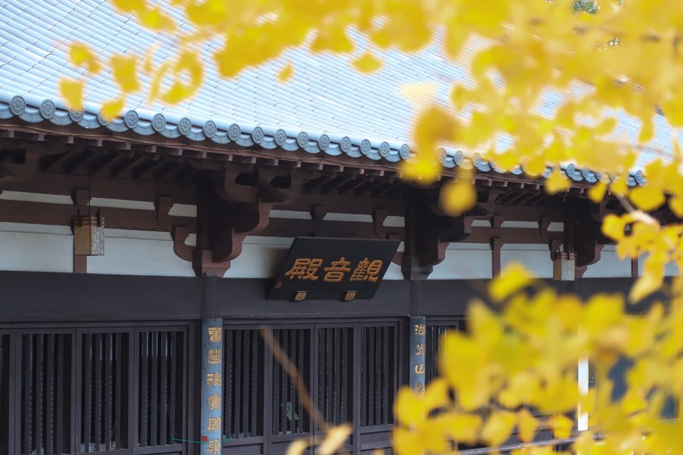 160F3332-ED5B-4AD6-B6EF-D3DF9B4037A0