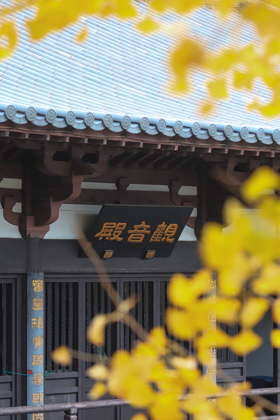 201641DC-22F9-4A2B-8592-95F5A52F5146