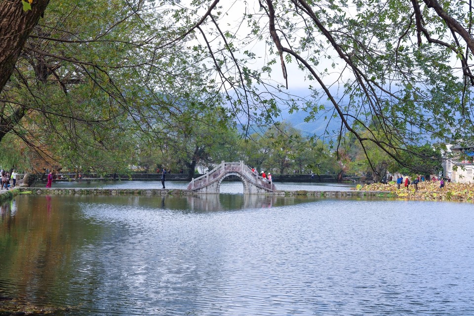 A6DC05A3-D44B-4794-87B4-06C0ACD1790D