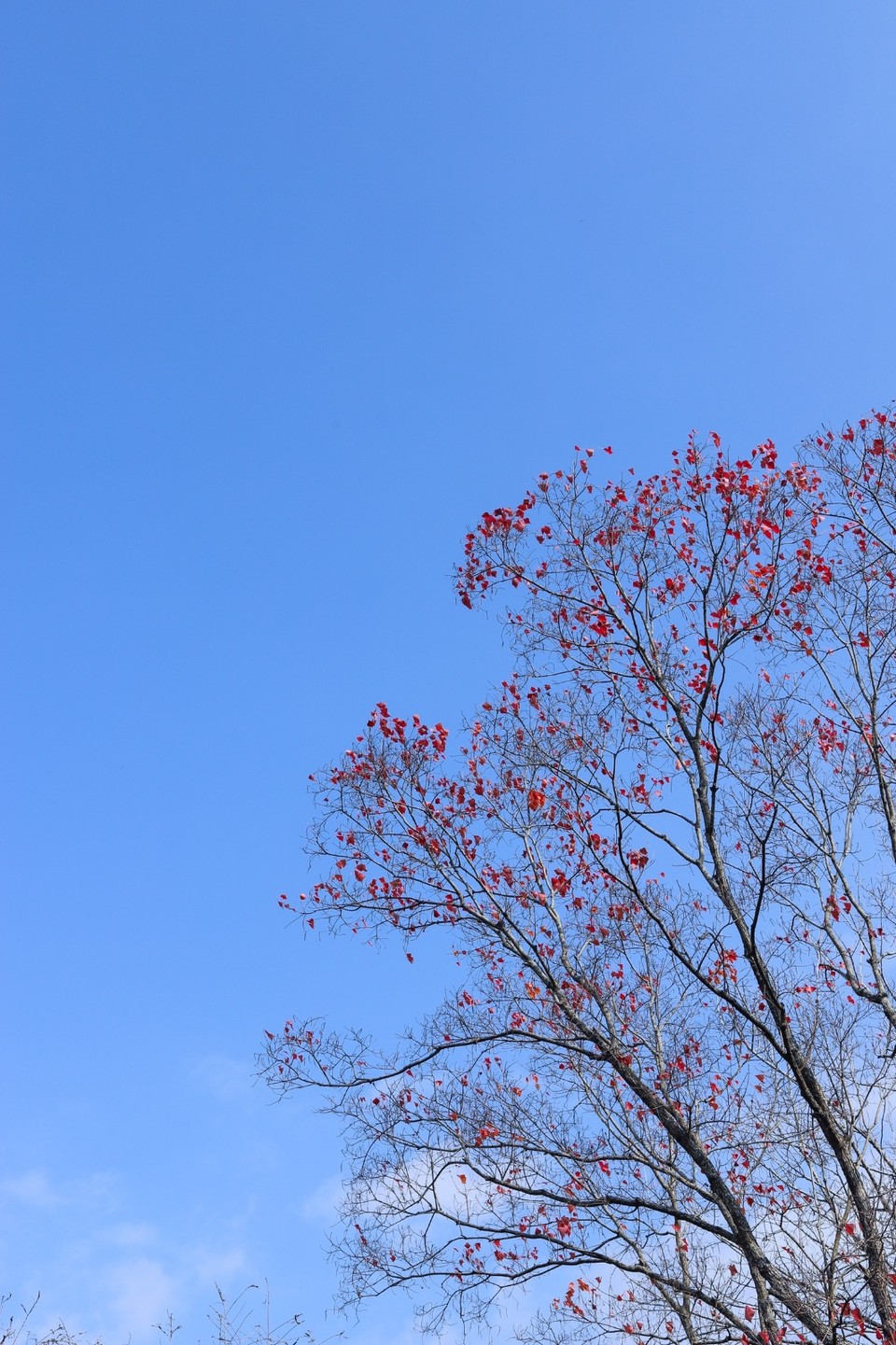 EA9AC9FF-DEED-4772-99FB-B868142715C9