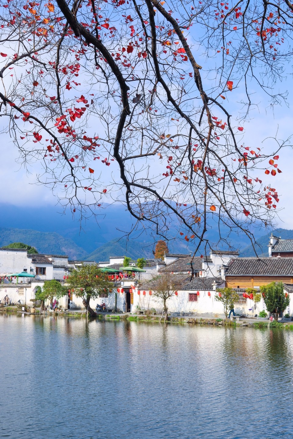 85652235-E726-4418-923E-9230A220B5D8