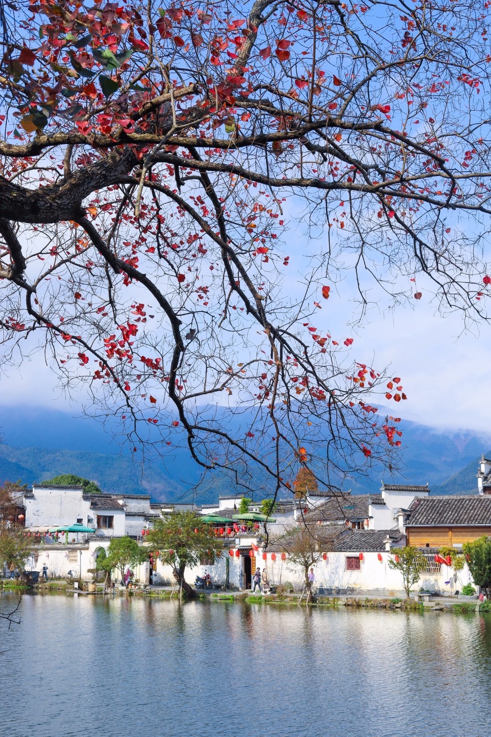 AE6959B5-0EC1-4FAE-BDF9-3D142C9159D9