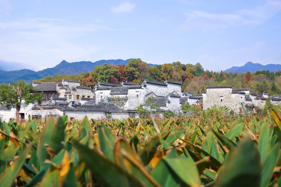 B9F87626-E2B2-45A3-912B-365510D9C489