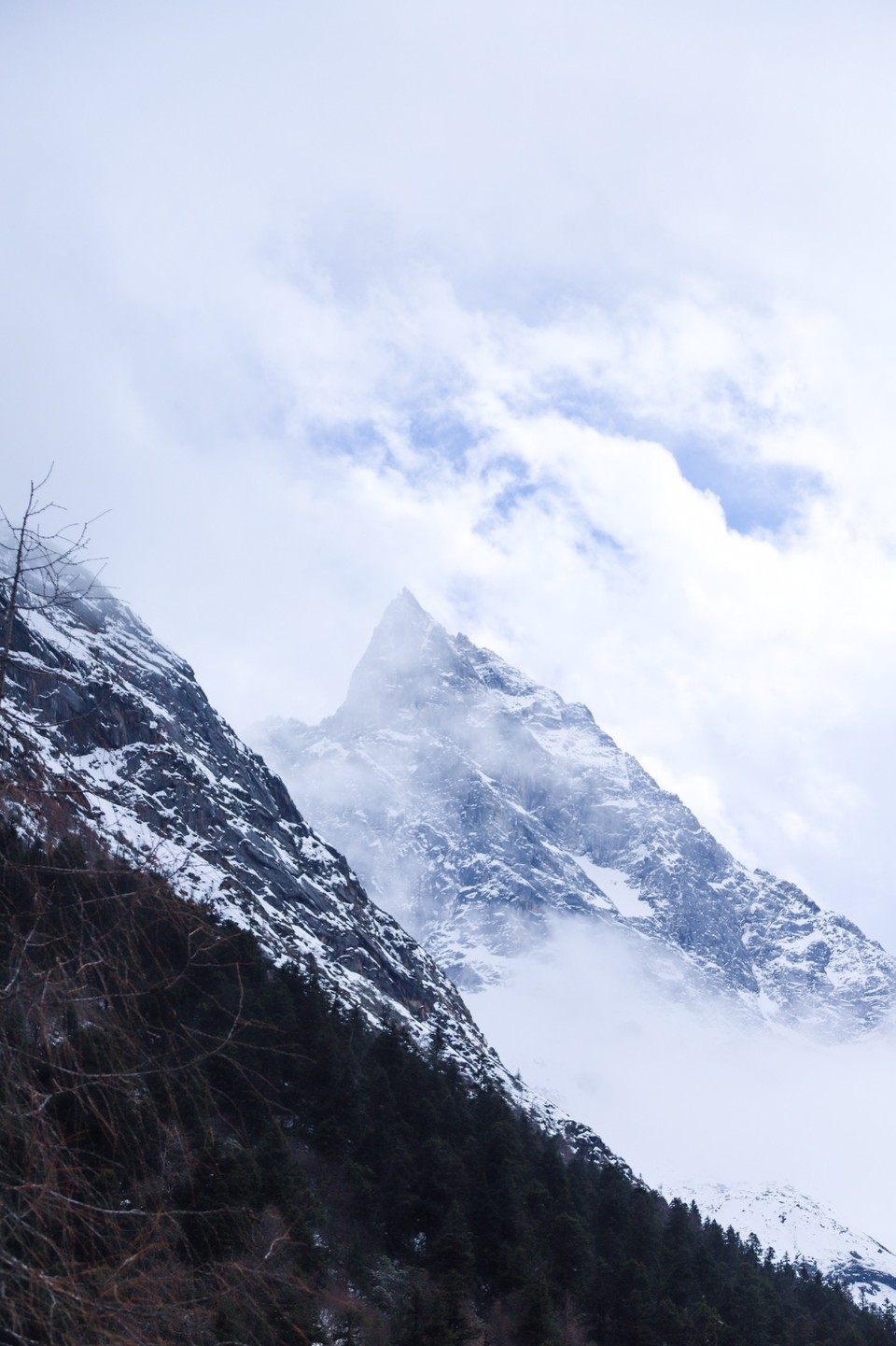 76410959-6AB8-4AA6-9848-E25B98C09CC2