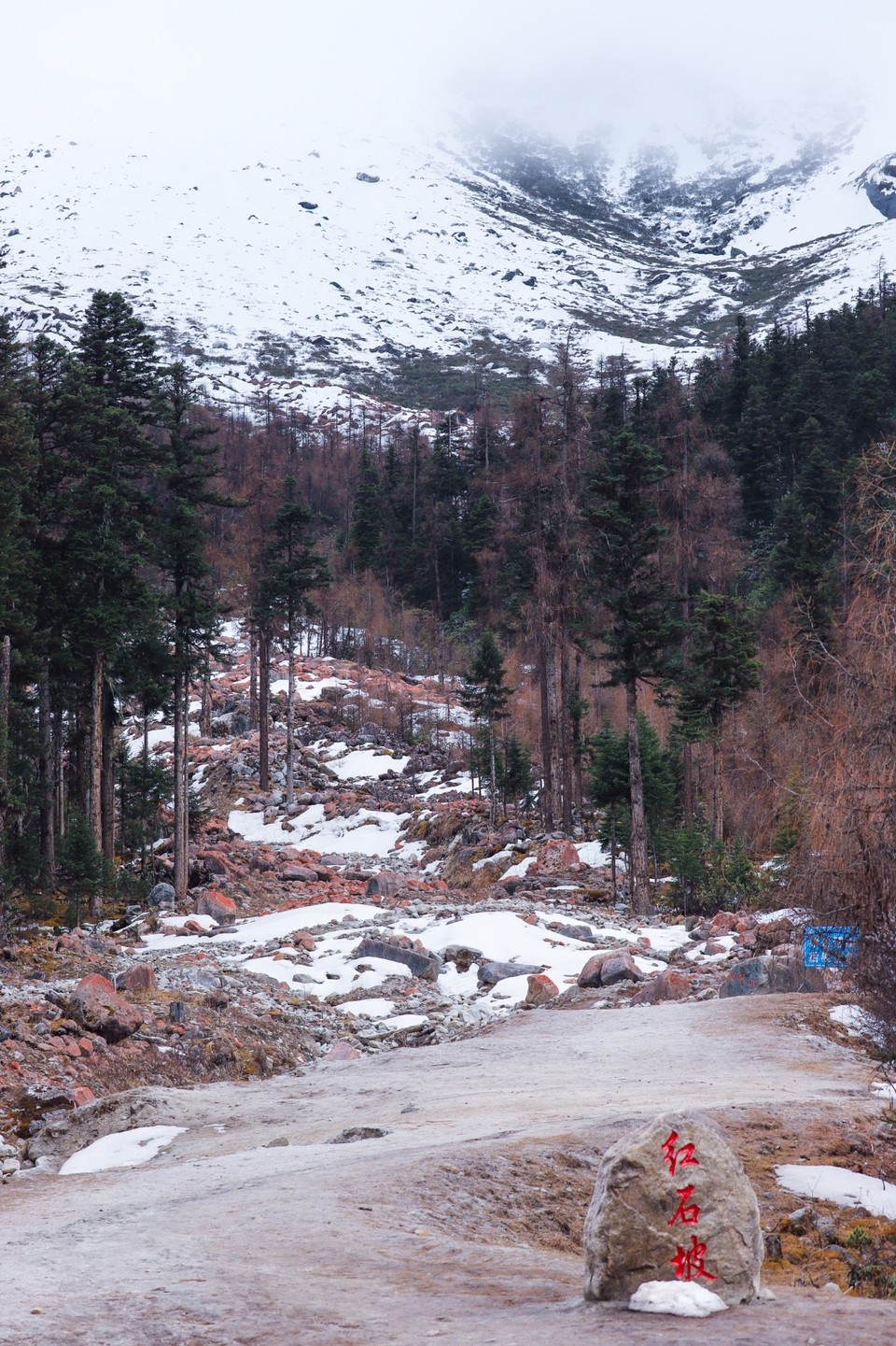 C24B42AE-7227-4AF8-9FE6-9996B308F80B