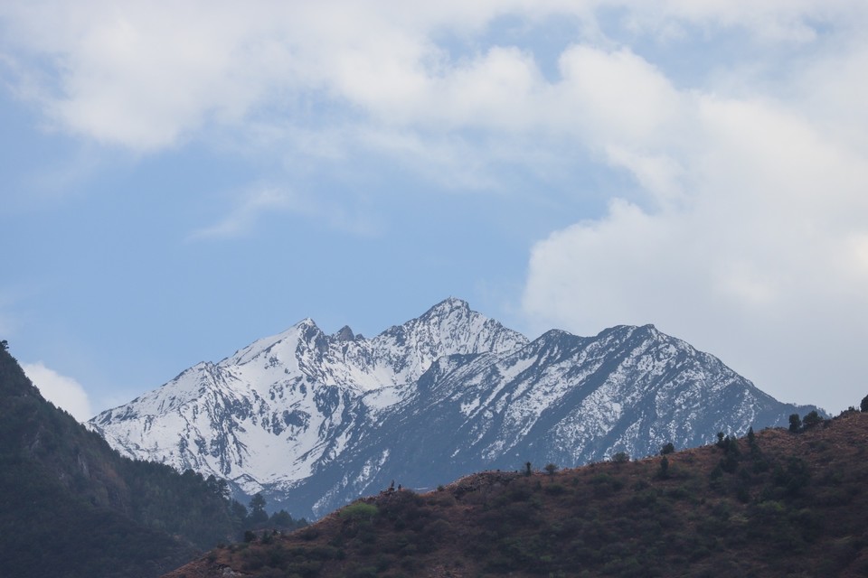 A1146D83-7B21-4574-92E1-12942F8E2F9C