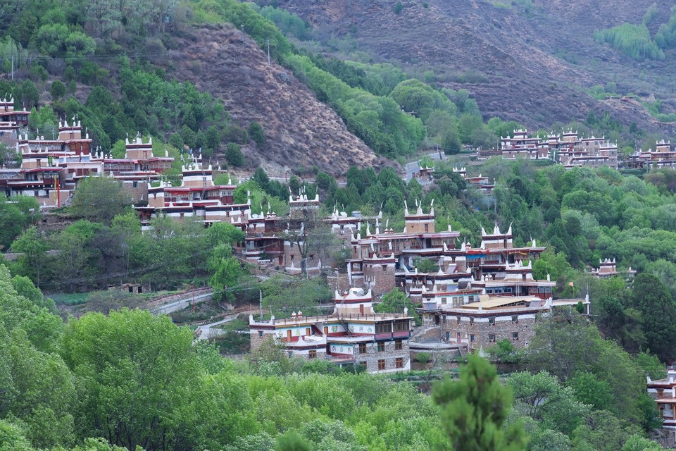 8B6A7DA1-852B-435C-8EE9-12573DAC4620