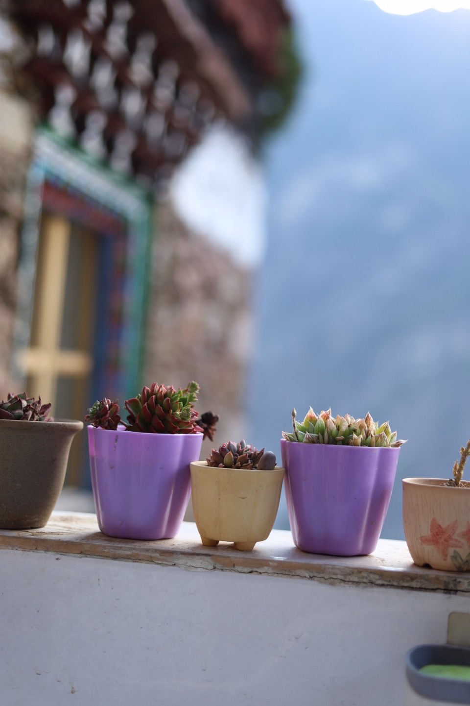 ED810D81-E73E-4A80-B465-29780E85ED1E