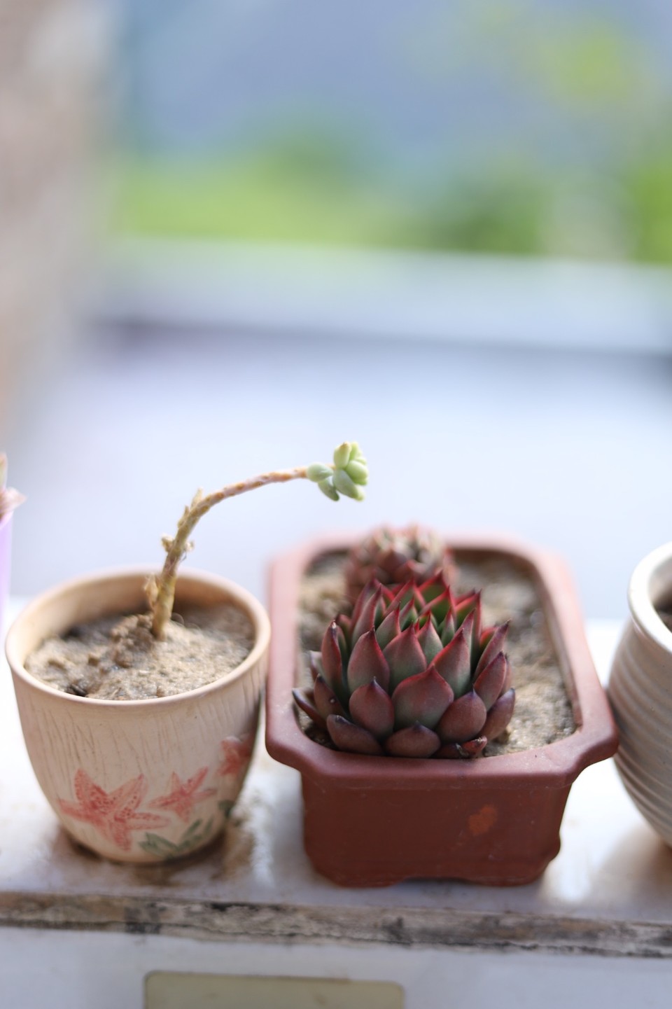 FA1E2CFD-FFC2-4BC7-8FC8-EBC2670E5CFD