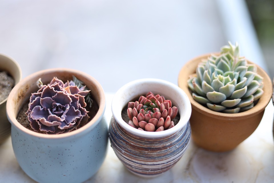 7E2727DC-254D-47B7-BA29-B82B8FDA9C2E