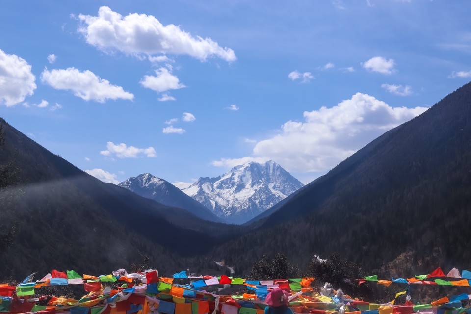 7A94BCB3-B296-448D-A15D-E946E158E5D9