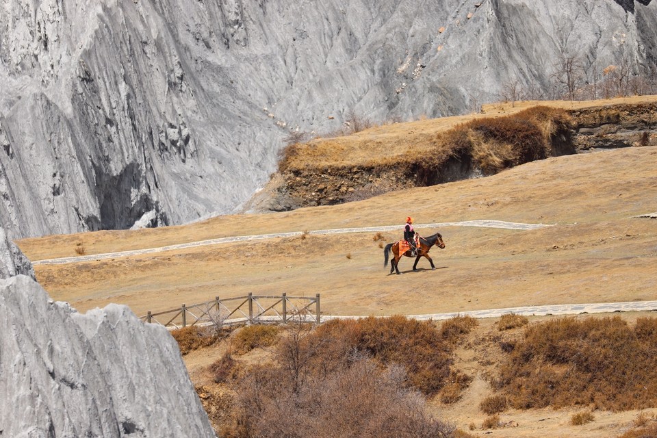 6FEFE1CB-3186-453F-AD31-54F350B44CD9