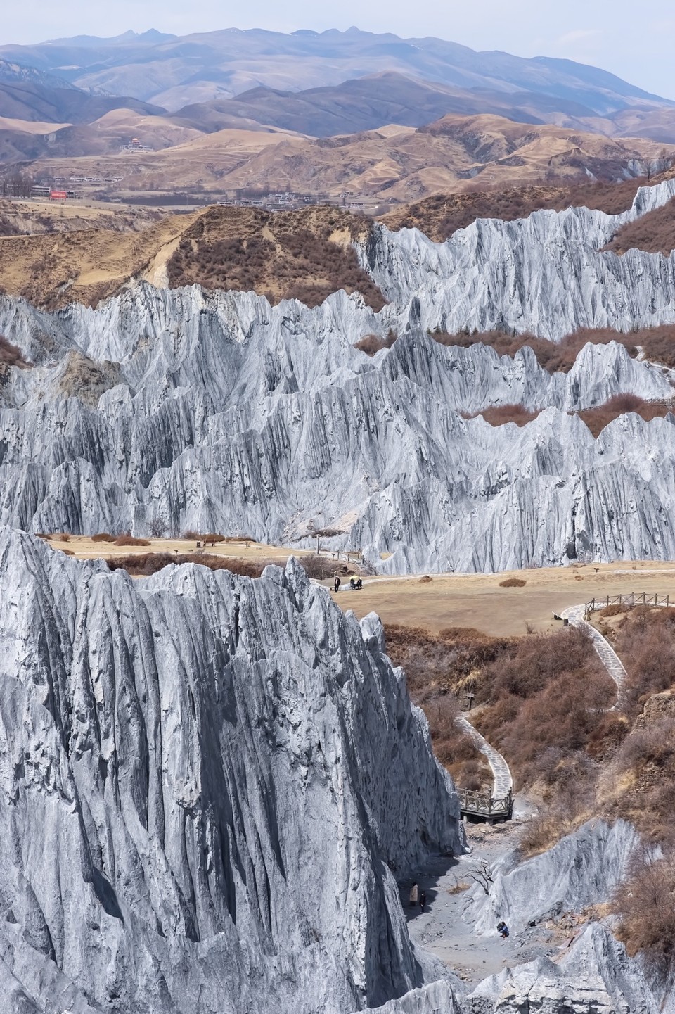 A1159CAC-E803-4310-82CE-3C408433098F