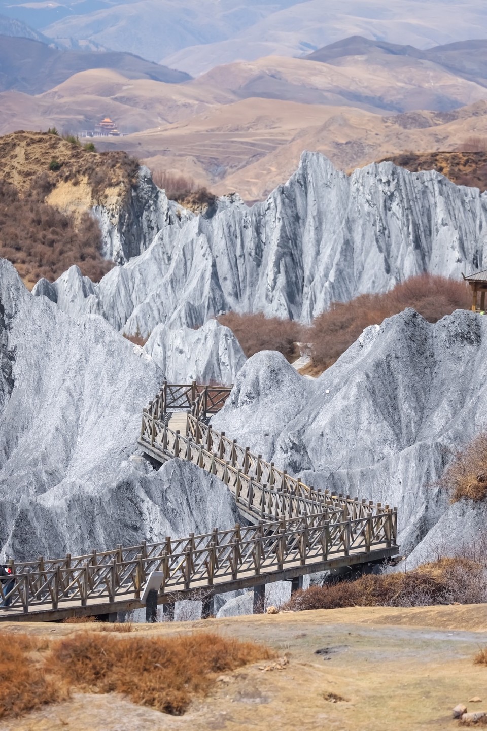 31DF6D26-C21B-493F-8CF4-70DE85B0137B