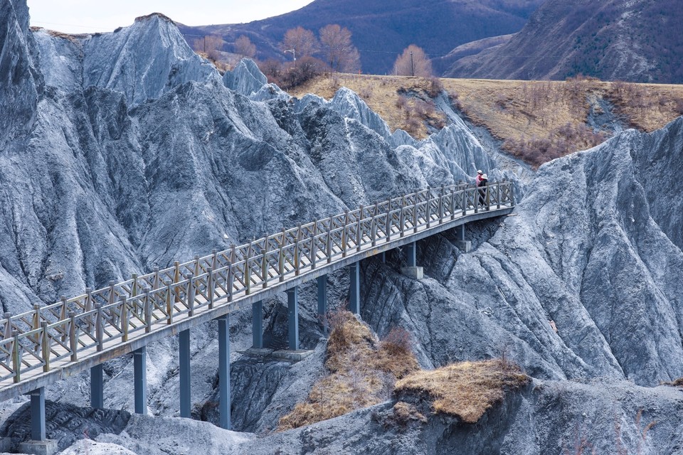 B40E9F98-3E68-4186-B237-2F696F56F209