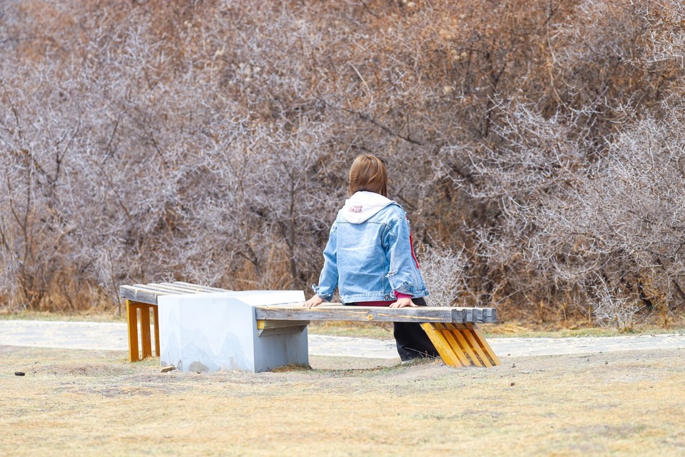 54A85D53-9DDA-4FC2-A620-15AB66612592