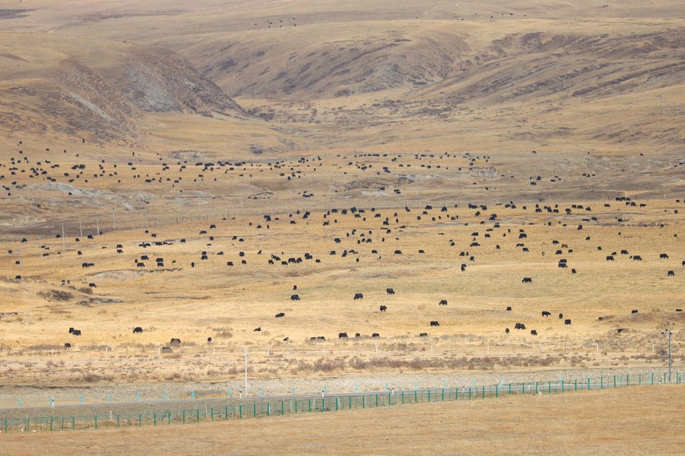 AF03B871-40E4-464B-B1DC-A64A397FA28C