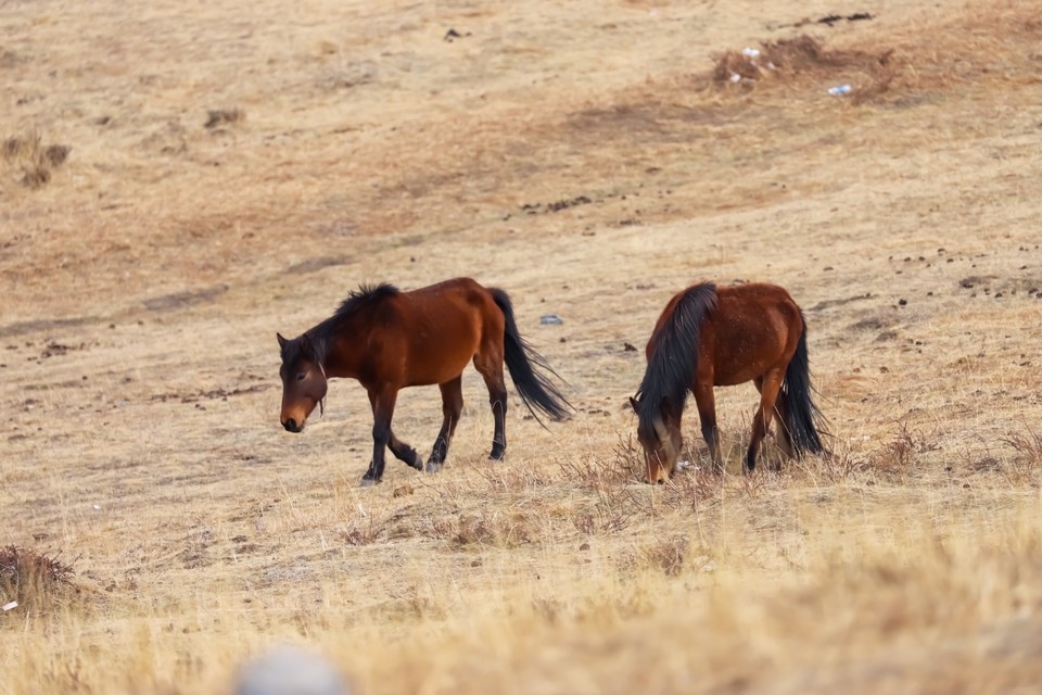 0000CFD4-C902-4D04-BB71-11DF088AA5F8