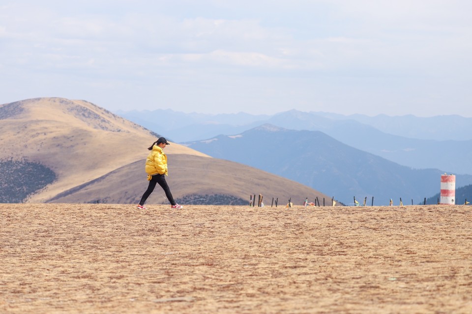 0150FA7D-E501-4FFF-B61A-8E589CCAF1A5