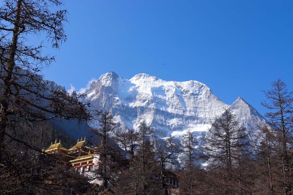 C0D33C25-BD49-4E23-AB8E-84E3B0ADFE39