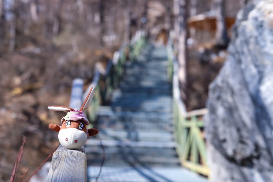 D8854CDA-B01D-4EA7-8F6D-945C7349FB1C