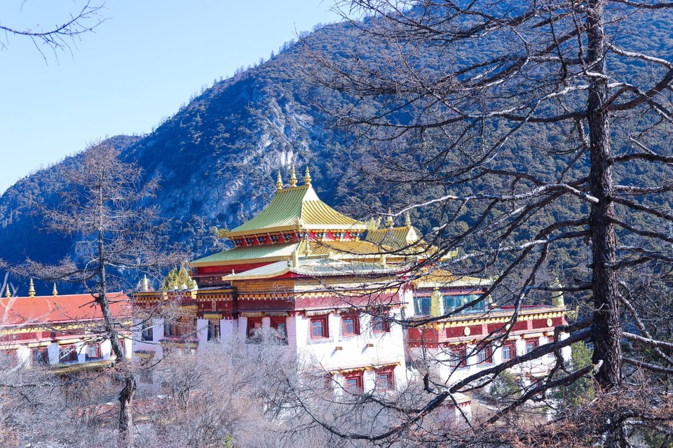 AC06049F-90A5-4005-AA80-B8C085ACC767