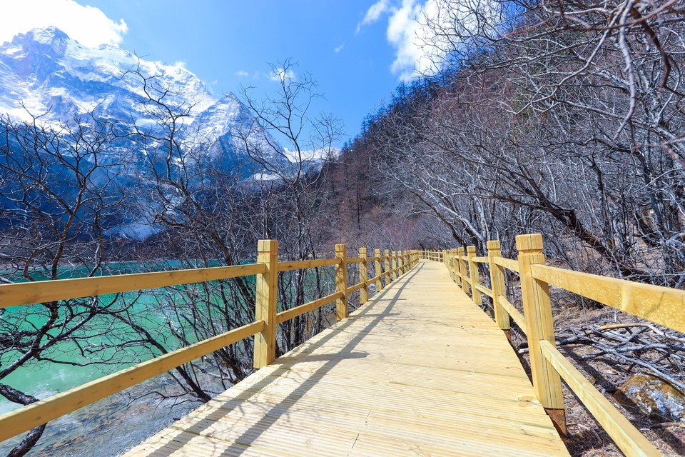 F63BC60C-23C1-48BF-96BB-D29098222F58